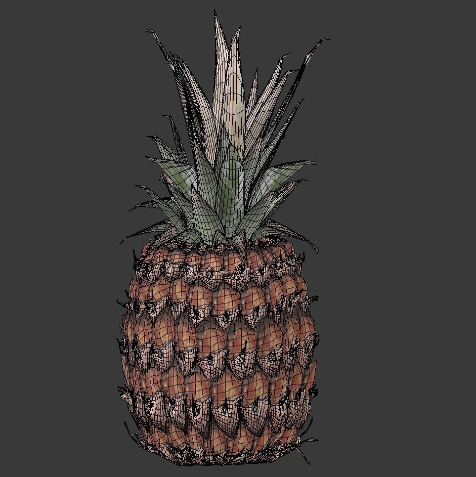 Realistic Pineapple 3D model_7