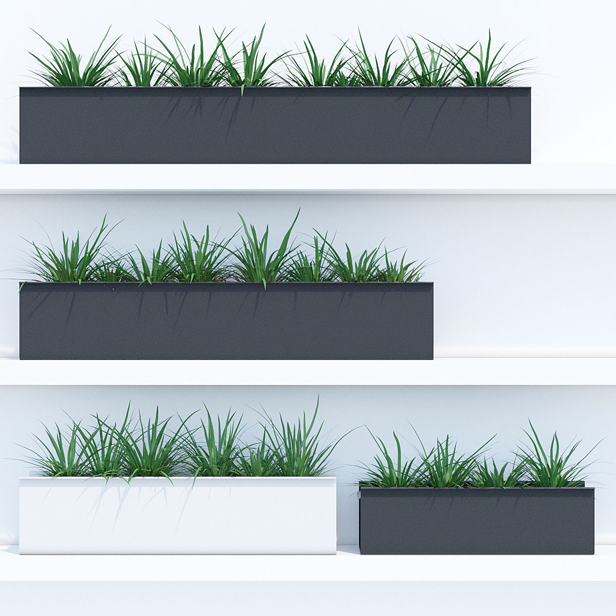 Sunset two 3D model_1