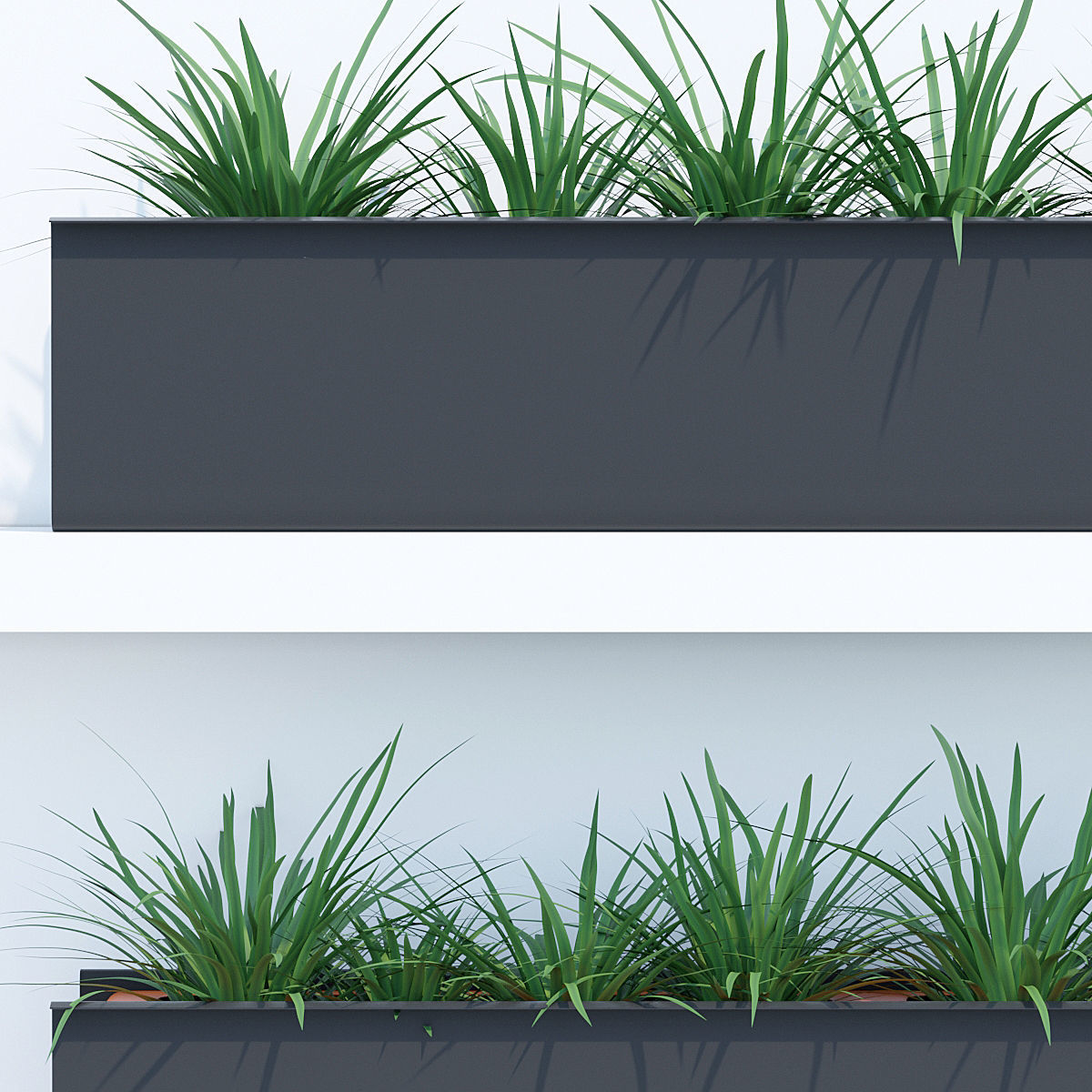 Sunset two 3D model_5