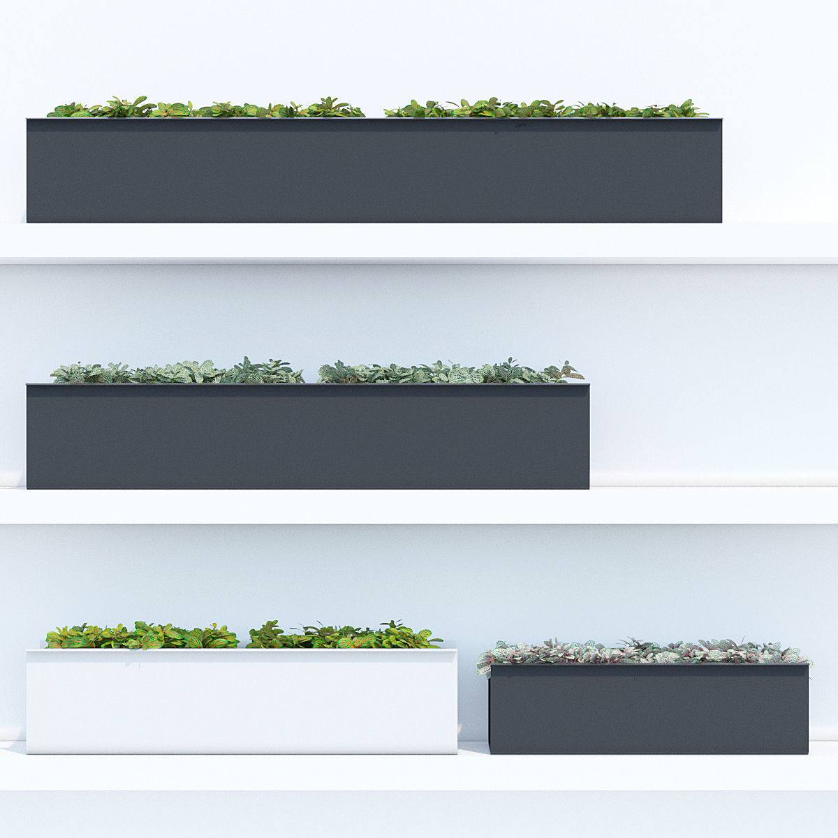 Sunset three 3D model_1