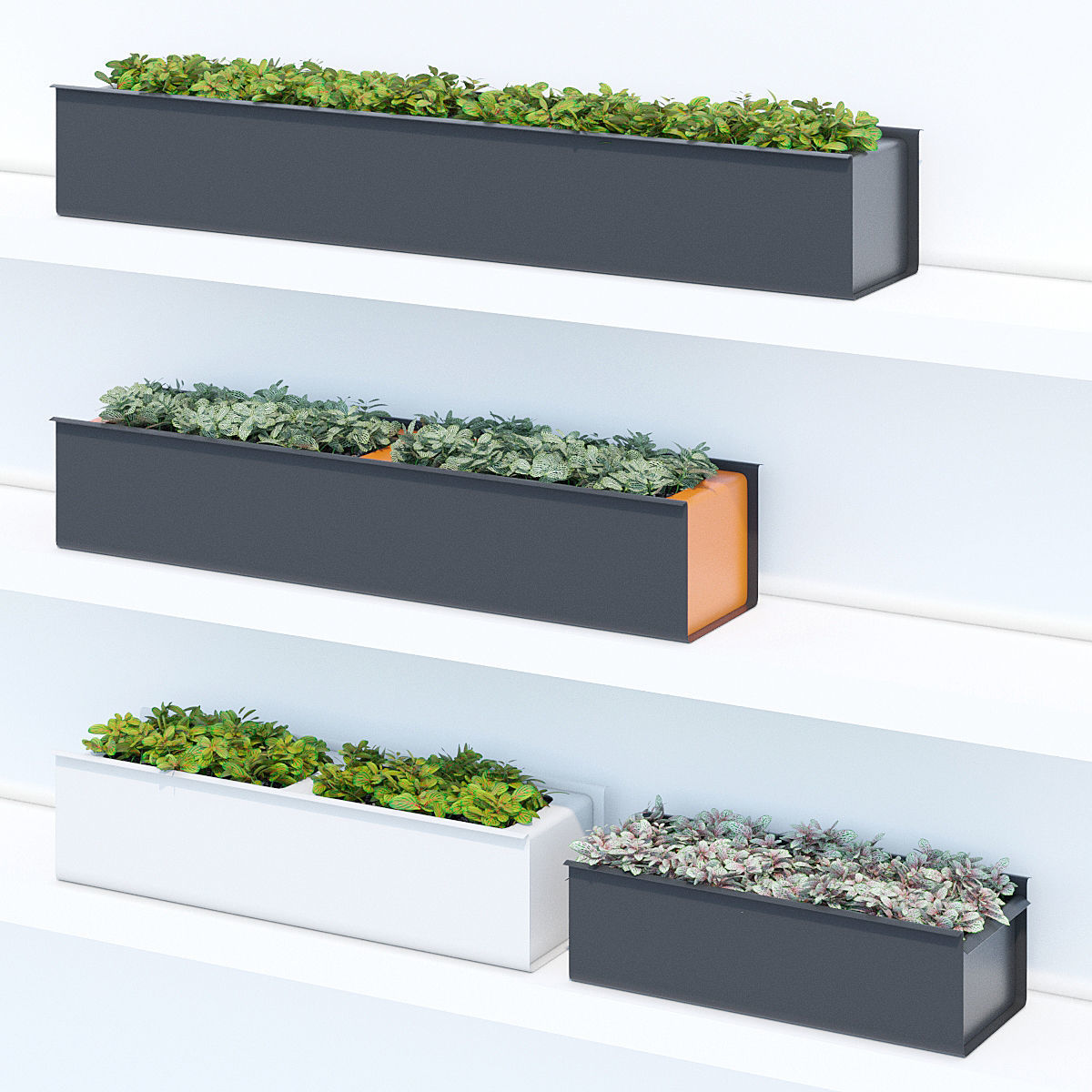 Sunset three 3D model_2