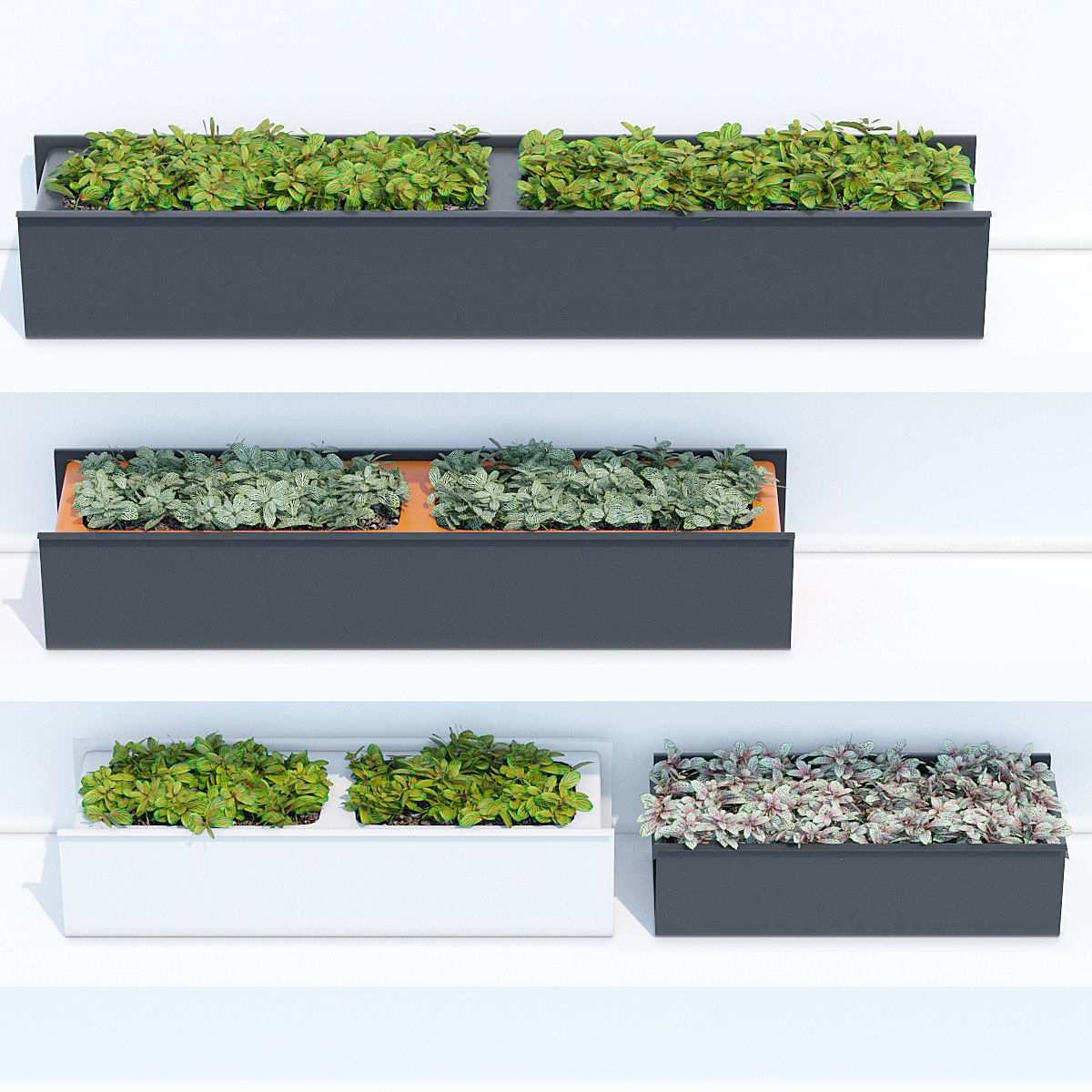 Sunset three 3D model_3