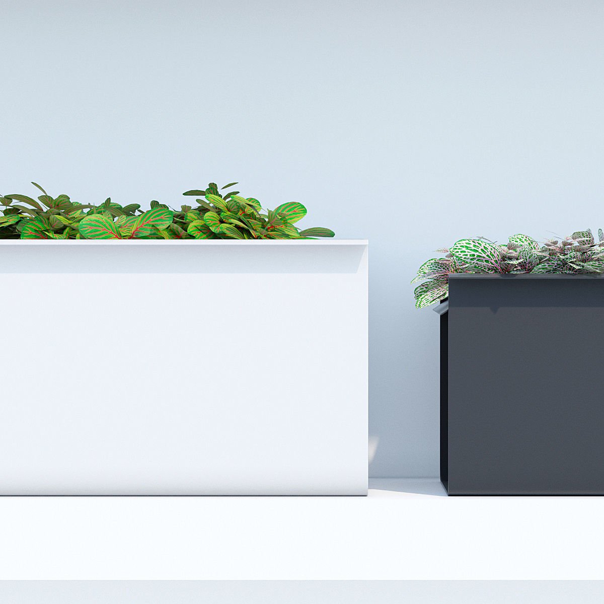 Sunset three 3D model_4