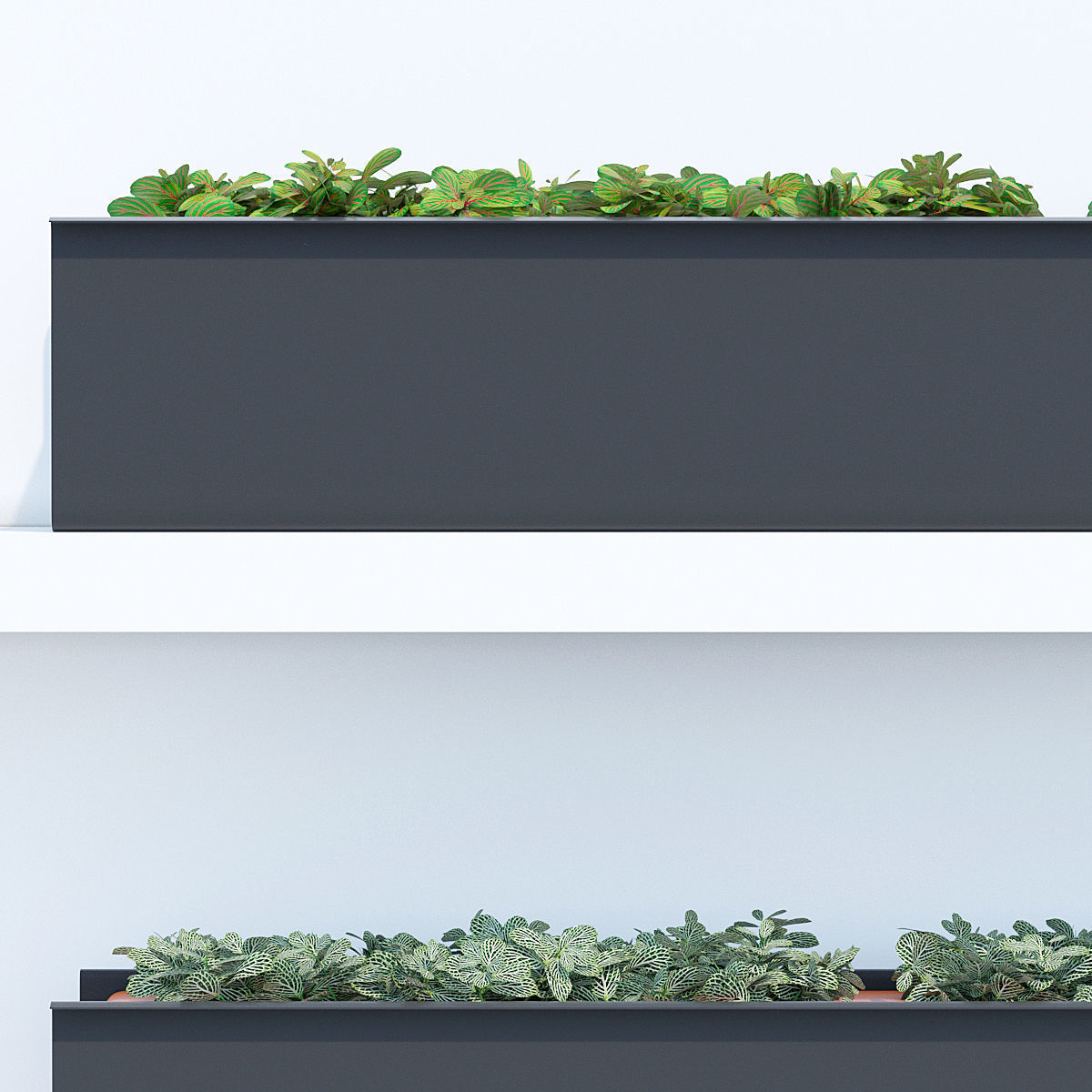 Sunset three 3D model_5