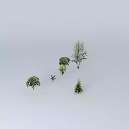 Green set of paper folders