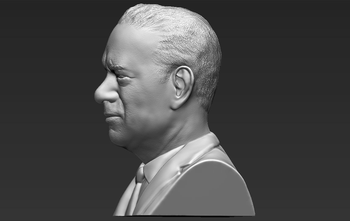 Tom Hanks bust 3D printing ready stl obj formats 3D print model_3