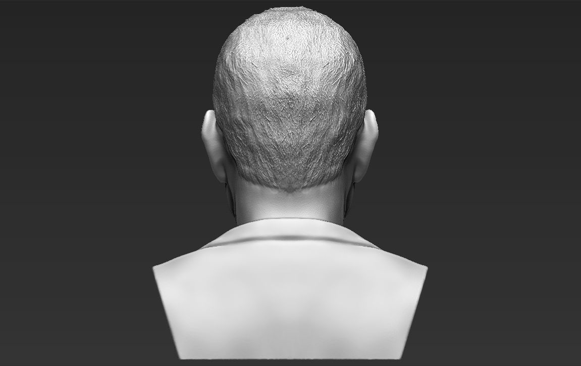 Tom Hanks bust 3D printing ready stl obj formats 3D print model_7