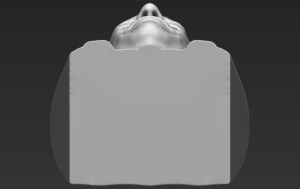 Tom Hanks bust 3D printing ready stl obj formats 3D print model_21
