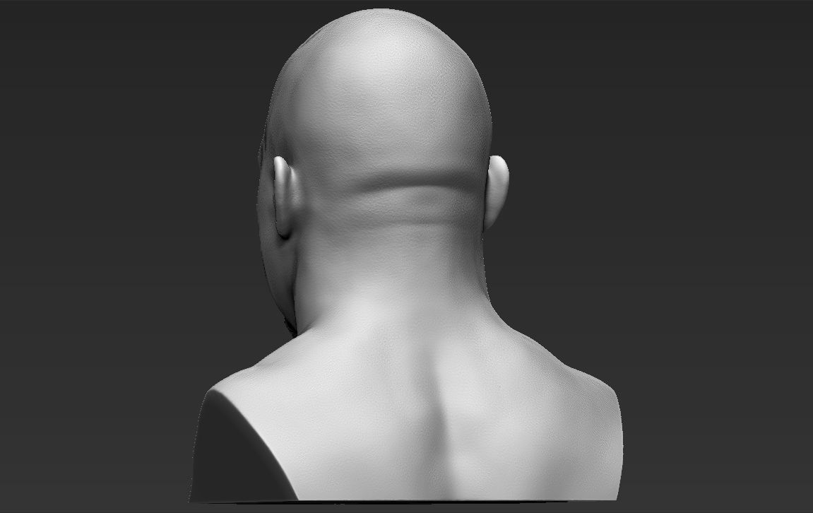 Stone Cold Steve Austin bust 3D printing ready stl obj formats 3D print model_7