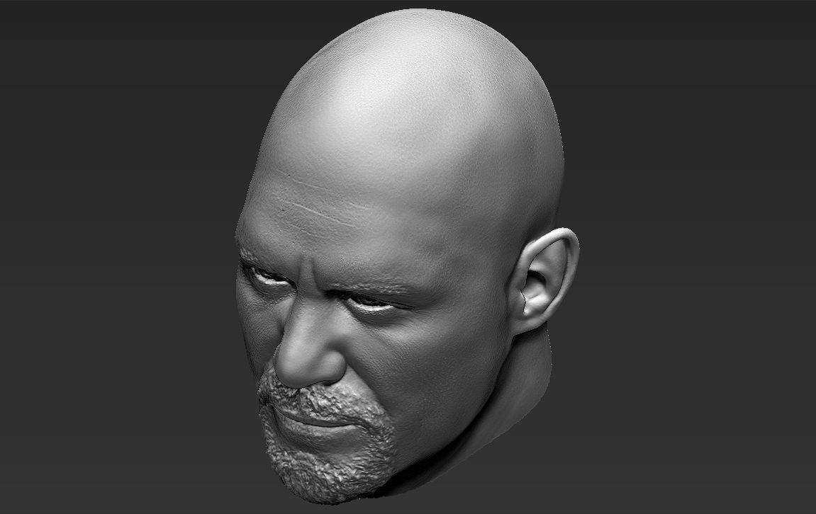 Stone Cold Steve Austin 3D model_37