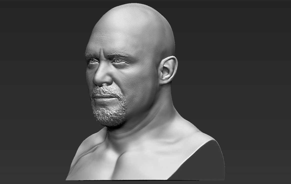 Stone Cold Steve Austin bust ready for full color 3D printing 3D print model_26