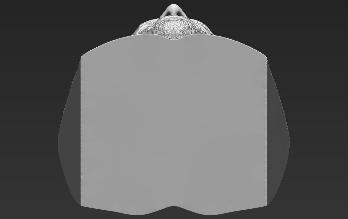 Stone Cold Steve Austin bust ready for full color 3D printing 3D print model_45