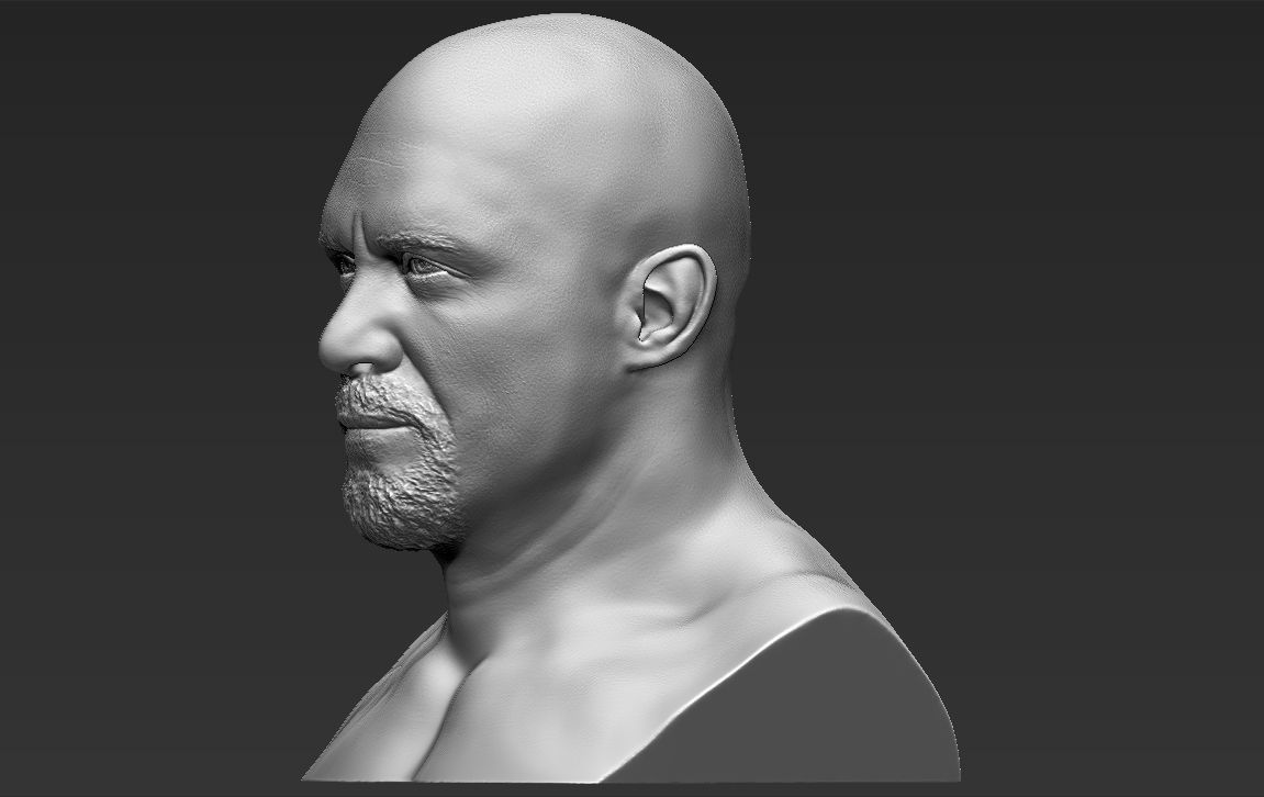 Stone Cold Steve Austin bust ready for full color 3D printing 3D print model_27