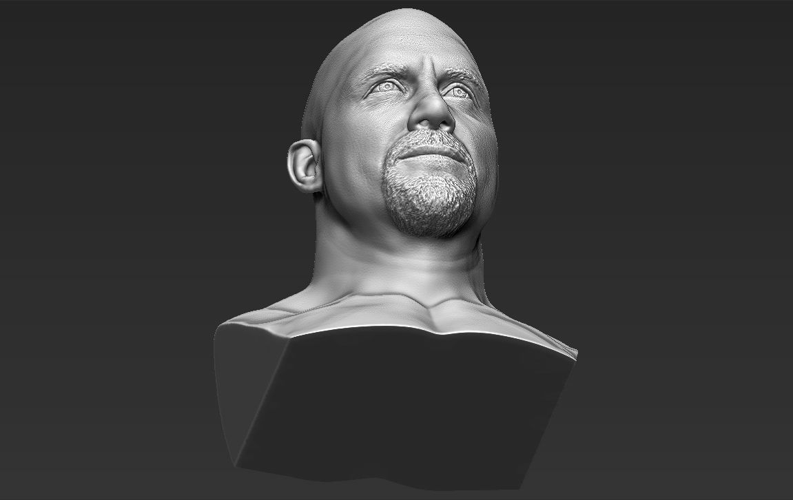 Stone Cold Steve Austin bust ready for full color 3D printing 3D print model_43