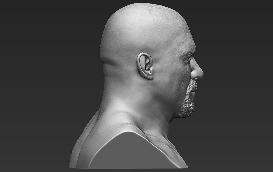 Stone Cold Steve Austin bust ready for full color 3D printing 3D print model_34