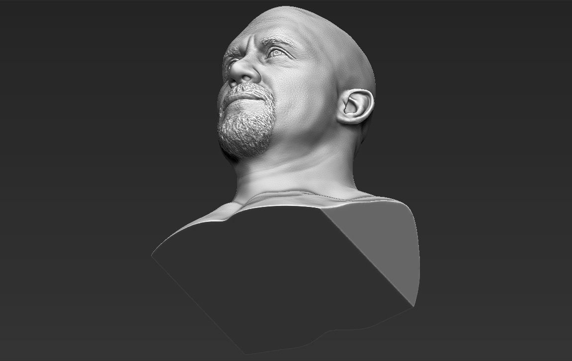 Stone Cold Steve Austin bust ready for full color 3D printing 3D print model_44