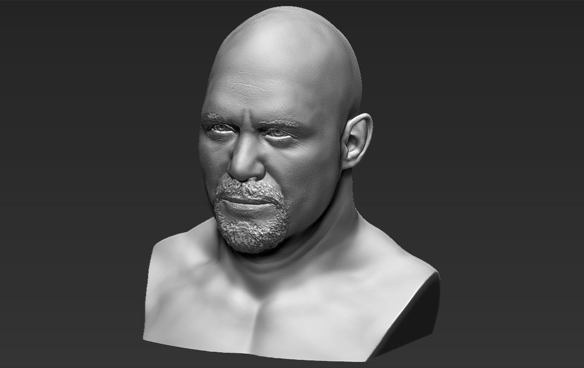 Stone Cold Steve Austin bust ready for full color 3D printing 3D print model_40