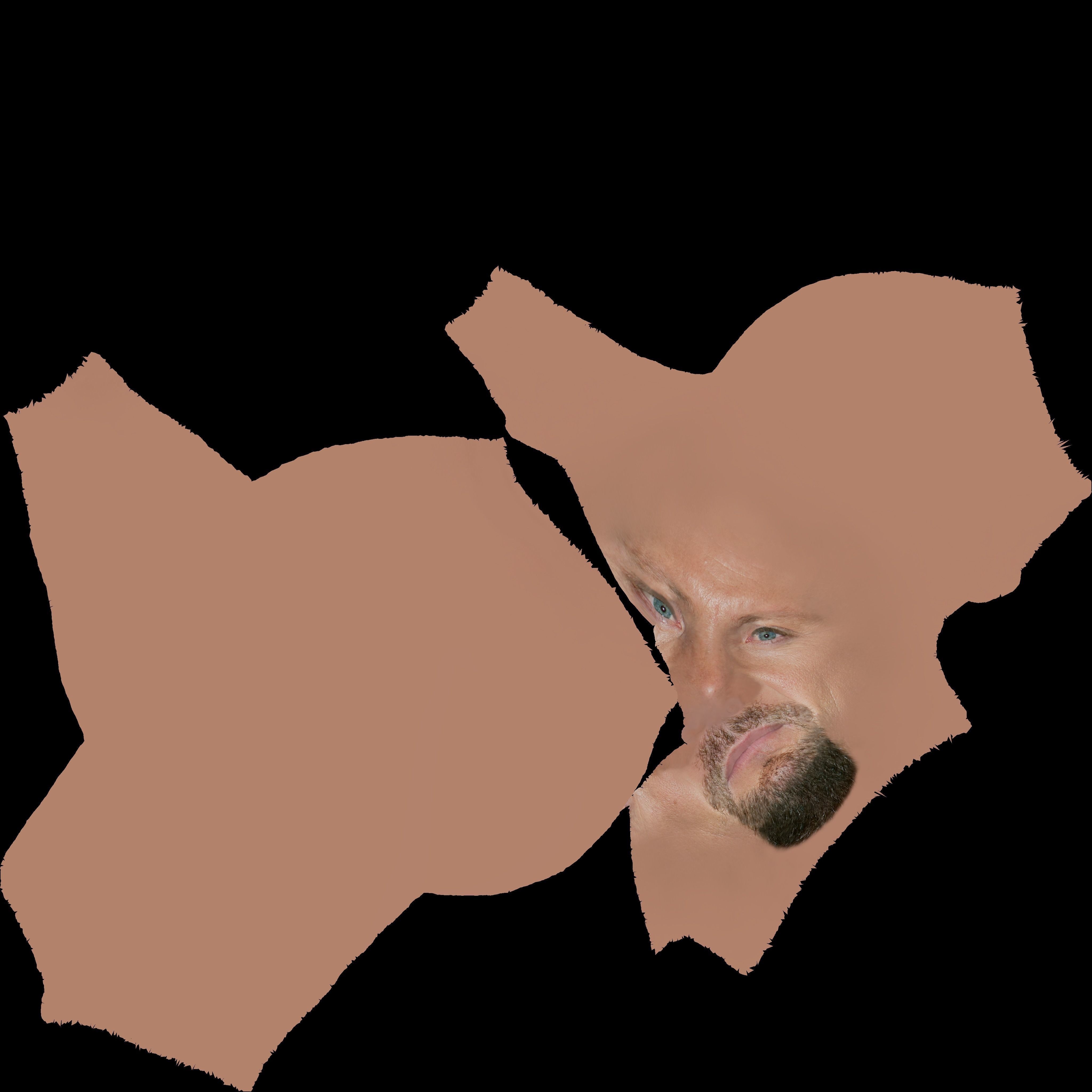 Stone Cold Steve Austin bust ready for full color 3D printing 3D print model_23