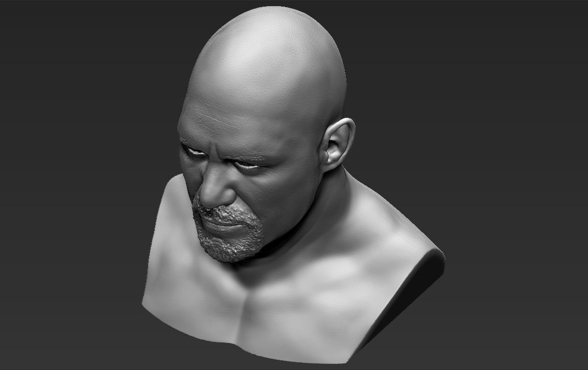 Stone Cold Steve Austin bust ready for full color 3D printing 3D print model_41