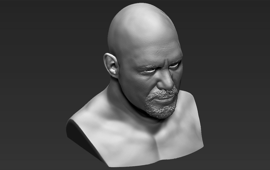 Stone Cold Steve Austin bust ready for full color 3D printing 3D print model_39