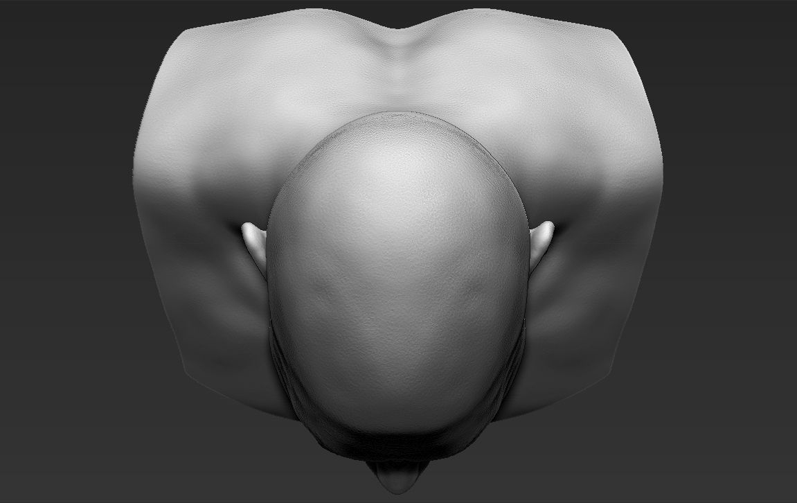Stone Cold Steve Austin bust ready for full color 3D printing 3D print model_42