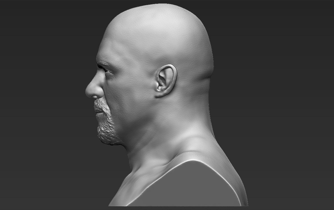 Stone Cold Steve Austin bust ready for full color 3D printing 3D print model_28