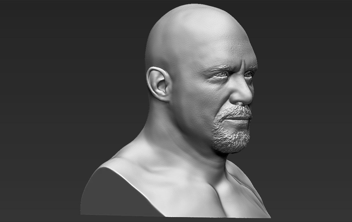 Stone Cold Steve Austin bust ready for full color 3D printing 3D print model_36