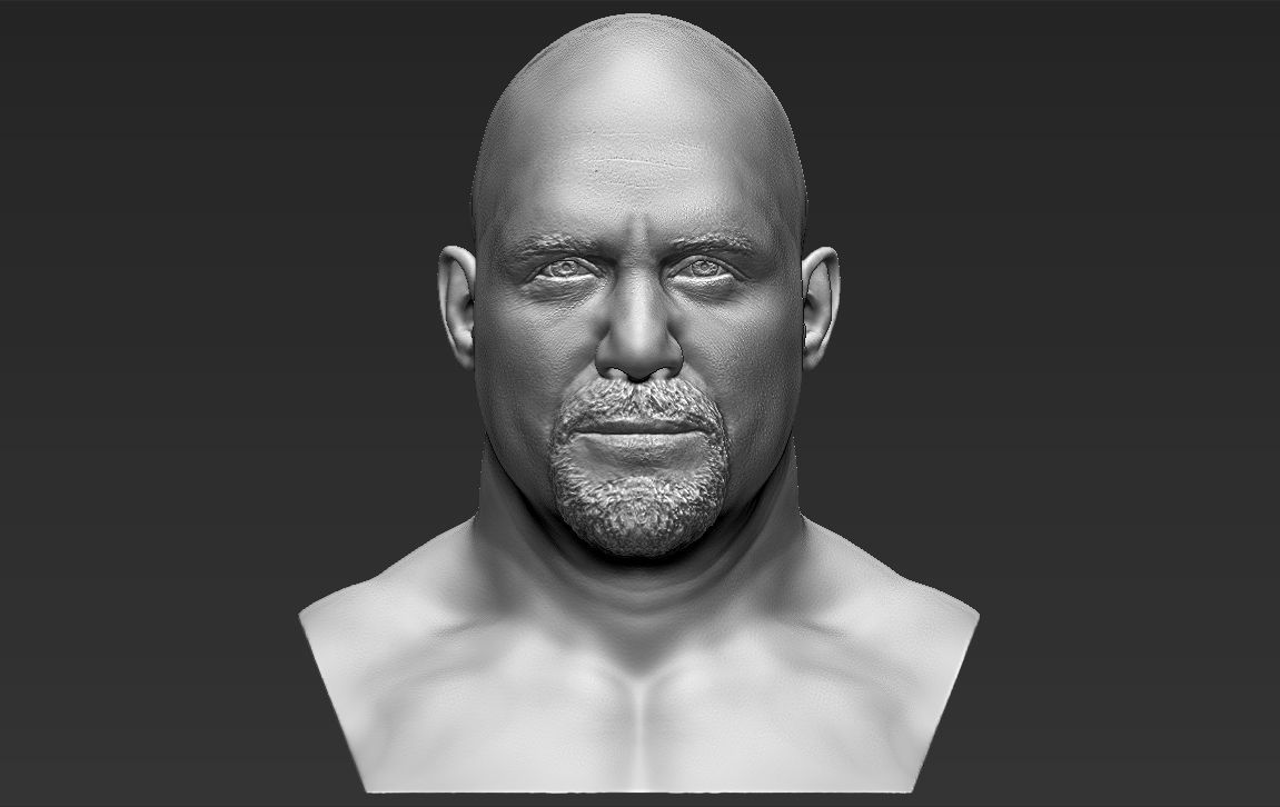 Stone Cold Steve Austin bust ready for full color 3D printing 3D print model_24