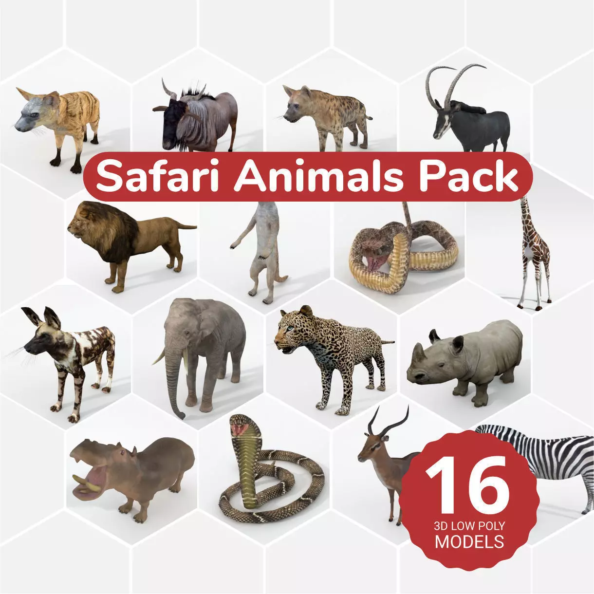 16 African Safari Pack 3D Model Collection_0