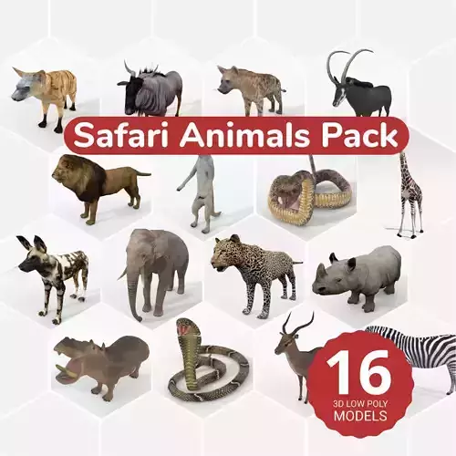 16 African Safari Pack 3D Model Collection