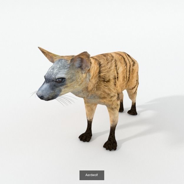 16 African Safari Pack 3D Model Collection_17