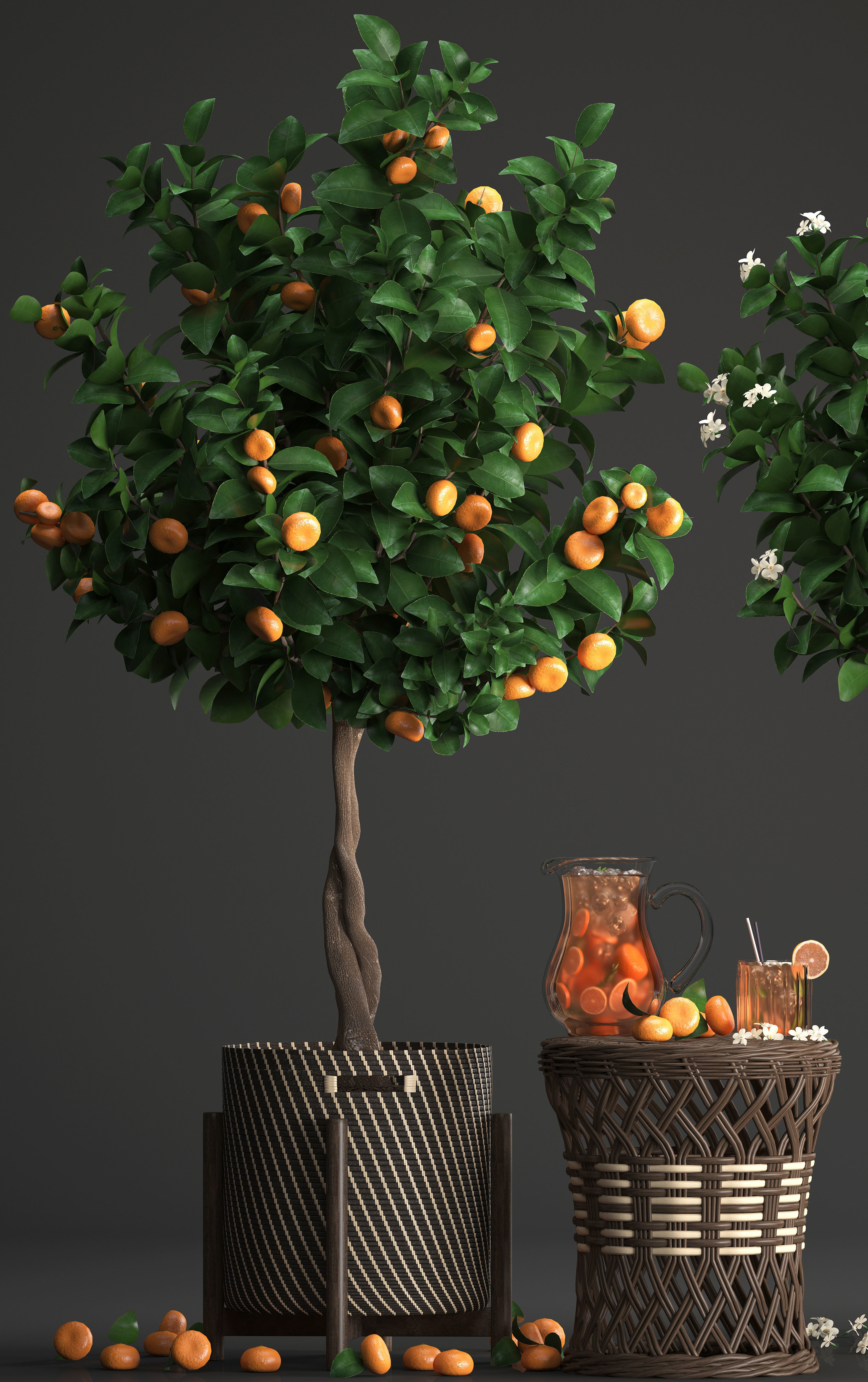 Mandarin Tree with Fruit 3D model_1
