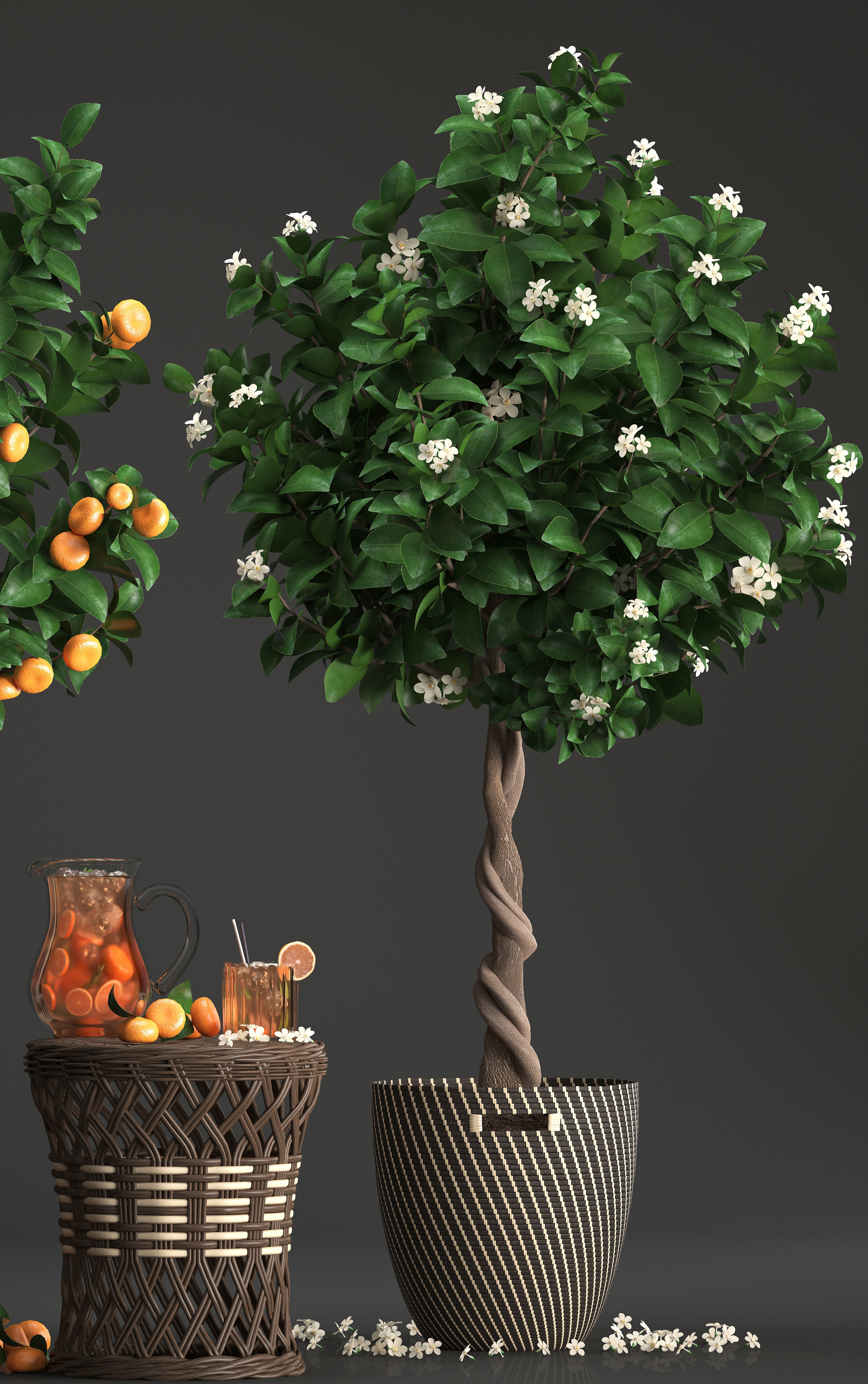 Mandarin Tree with Fruit 3D model_2