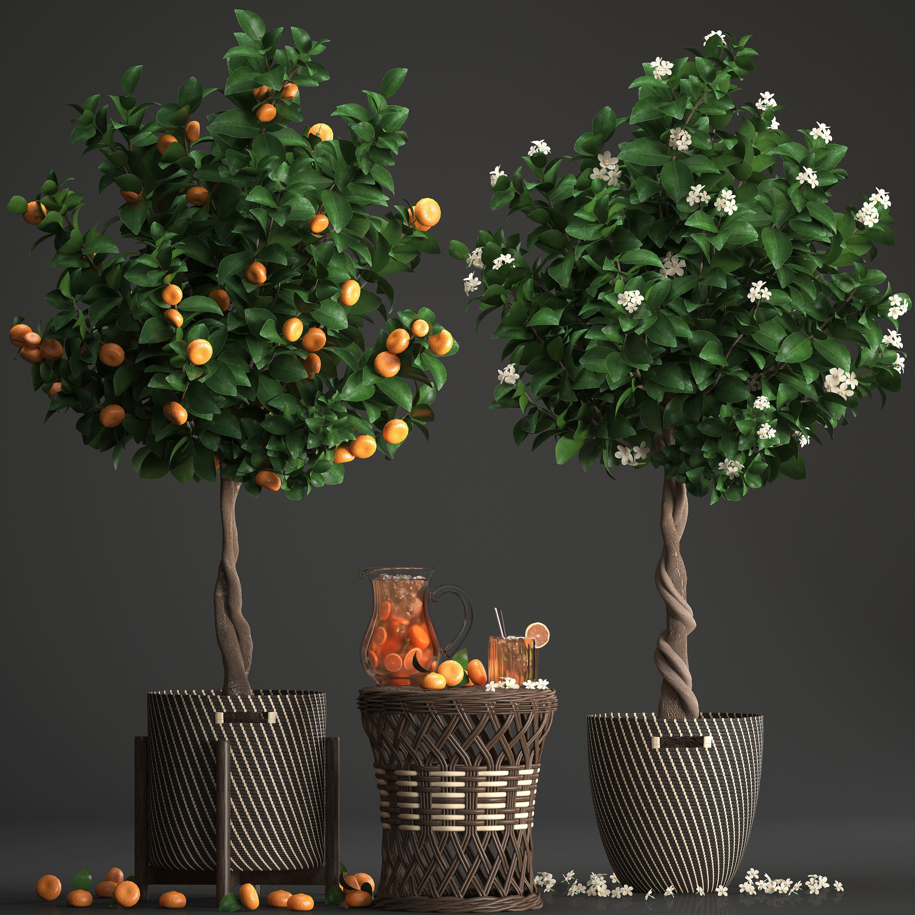Mandarin Tree with Fruit 3D model_13