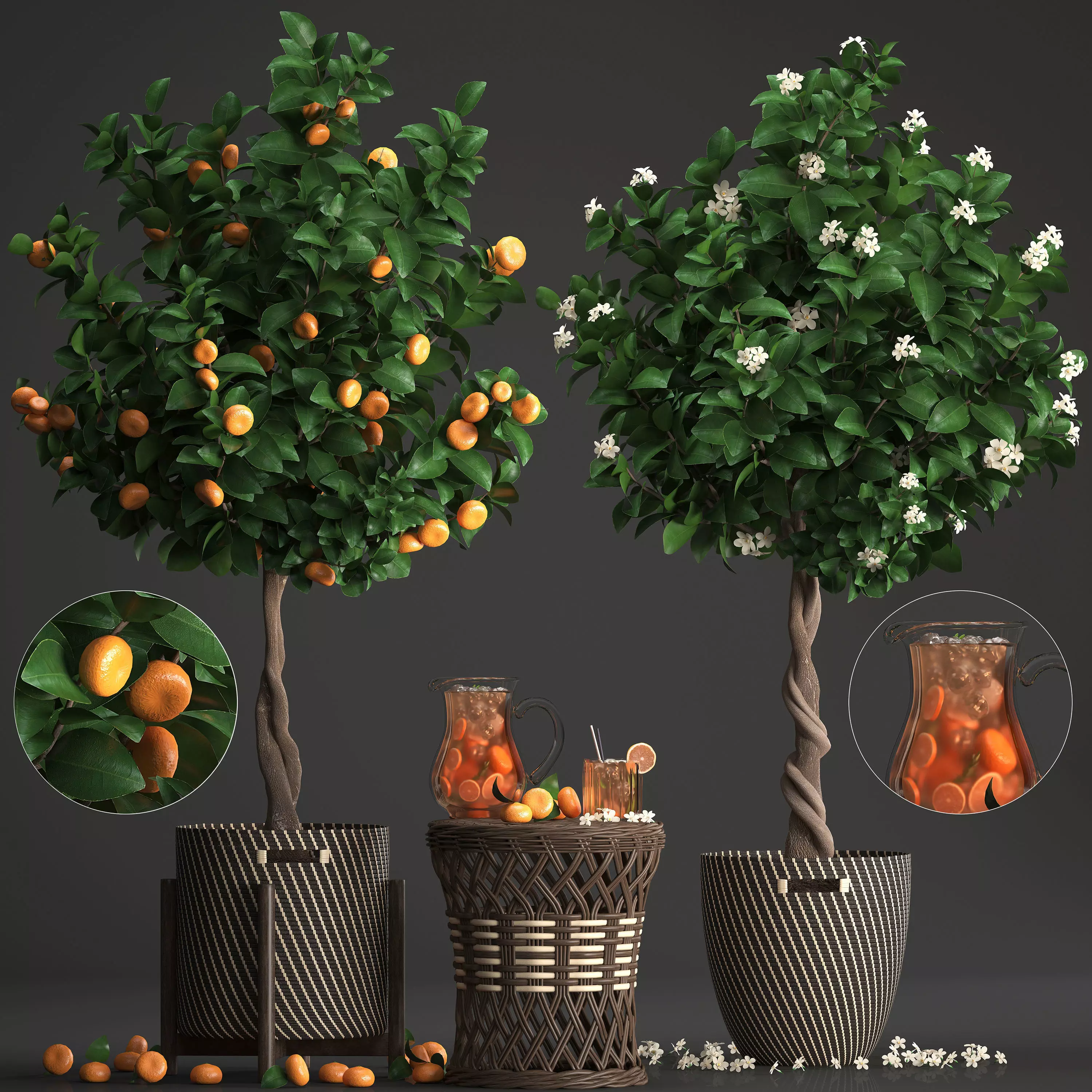 Mandarin Tree with Fruit 3D model_0