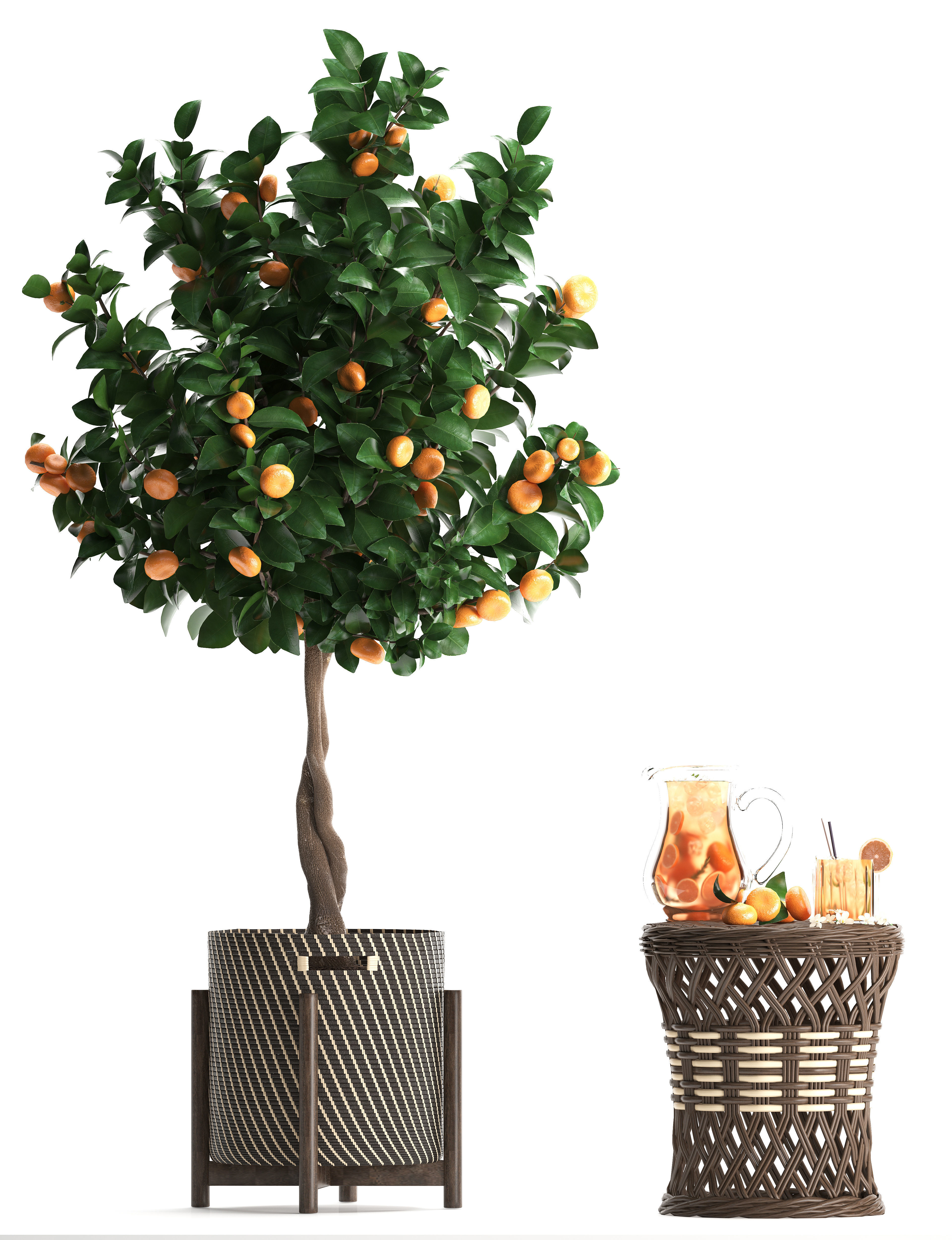 Mandarin Tree with Fruit 3D model_7