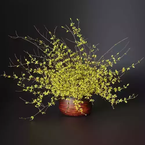 Bouquet of yellow flowers Forsythia