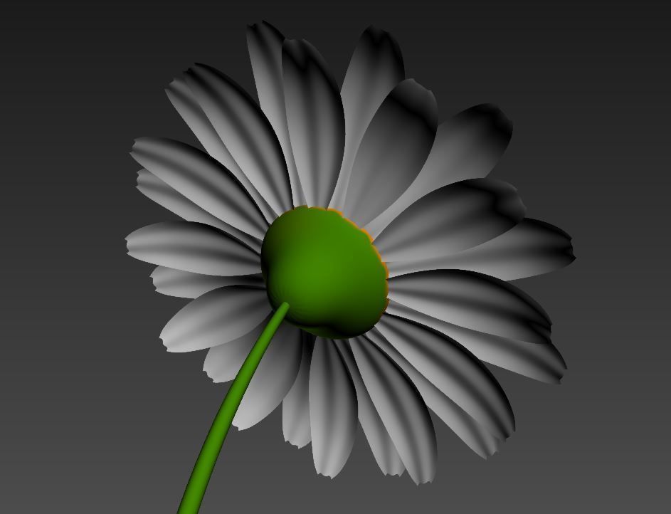 Cartoon Daisy Low-poly 3D model_16