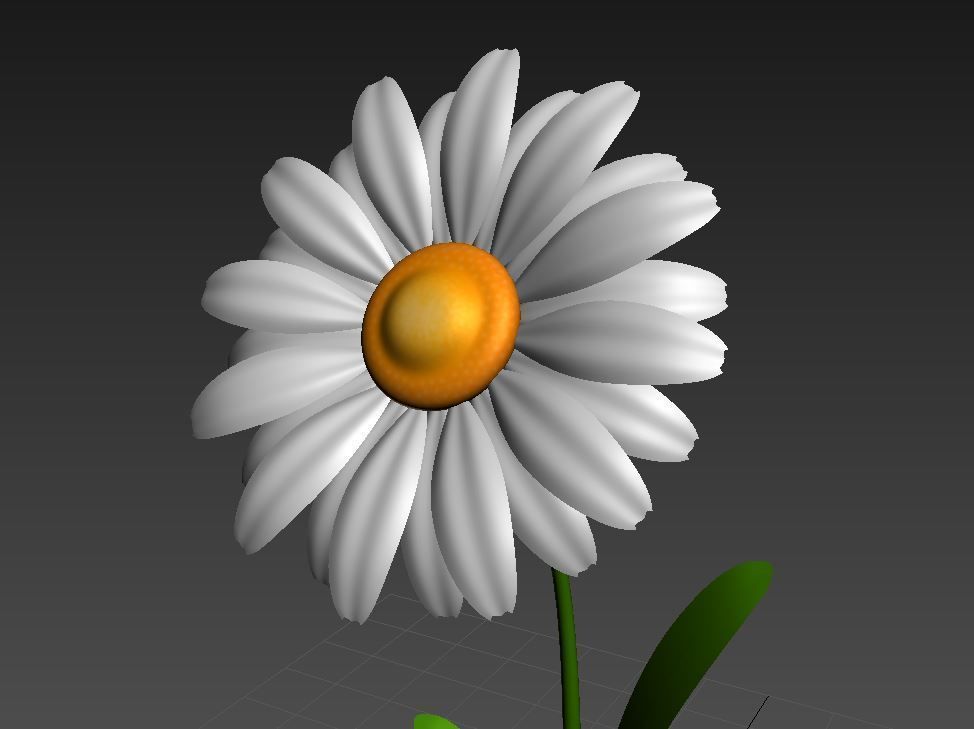 Cartoon Daisy Low-poly 3D model_13