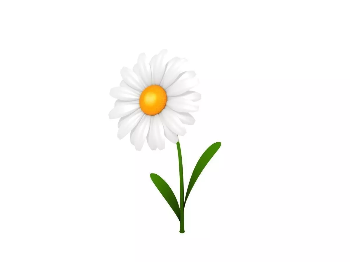 Cartoon Daisy Low-poly 3D model_0