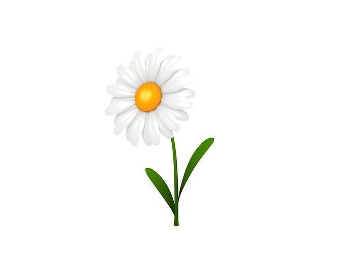 Cartoon Daisy Low-poly 3D model