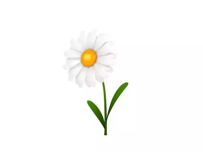 Cartoon Daisy Low-poly 3D model