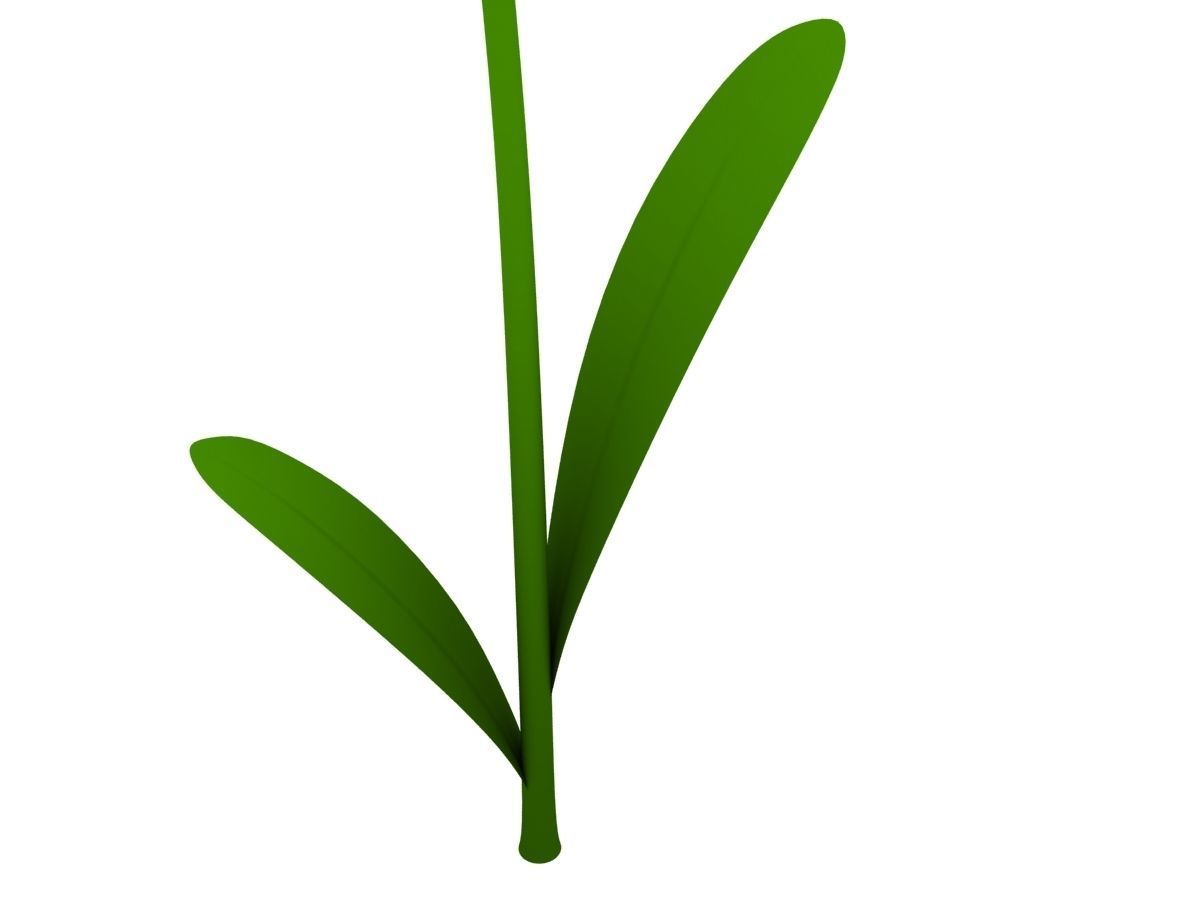 Cartoon Daisy Low-poly 3D model_7