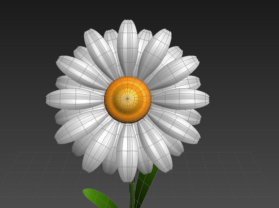 Cartoon Daisy Low-poly 3D model_14