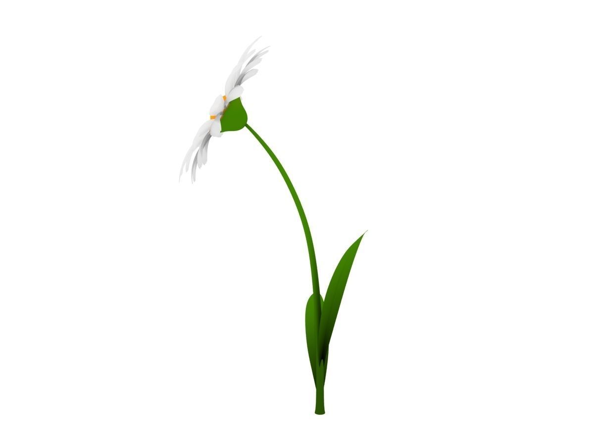 Cartoon Daisy Low-poly 3D model_2
