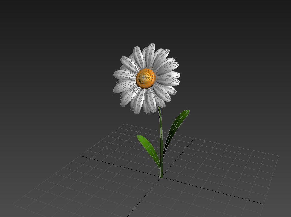 Cartoon Daisy Low-poly 3D model_12