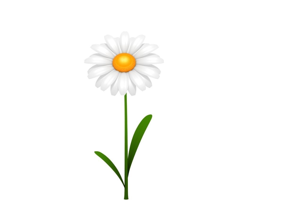 Cartoon Daisy Low-poly 3D model_1