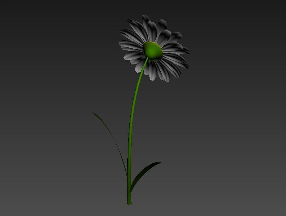 Cartoon Daisy Low-poly 3D model_15