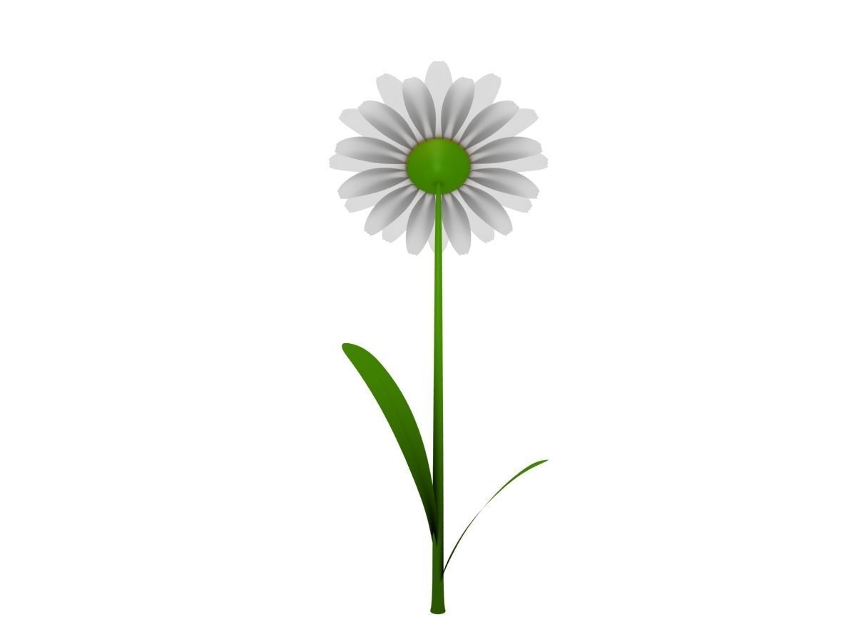 Cartoon Daisy Low-poly 3D model_4