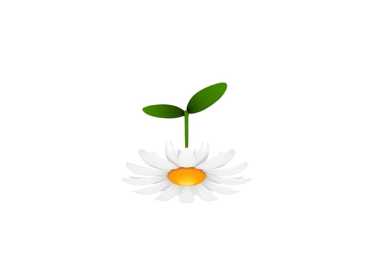 Cartoon Daisy Low-poly 3D model_5